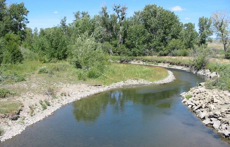 The Shields River in Montana