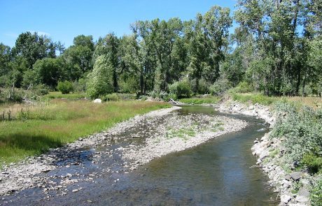 The Narrow and Shallow Shields River