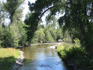 Shields River in Montana