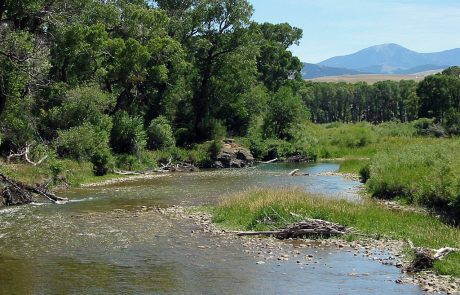 Shields River in Montana