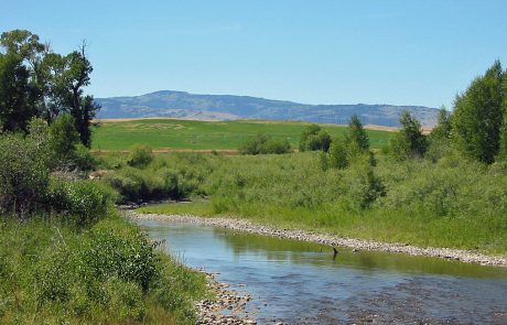 Shields River in Montana