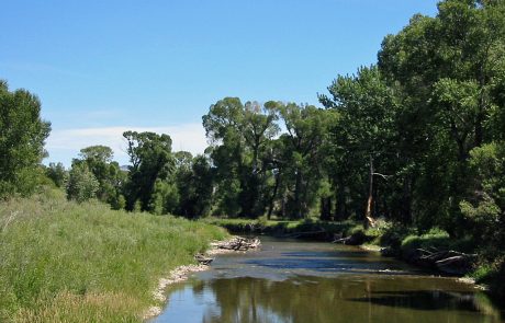 The Shields River in Montana