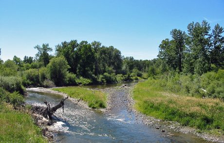 The Shields River in Montana