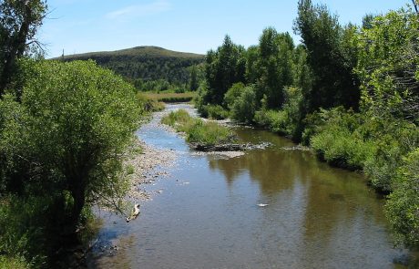 The Shields River in Montana