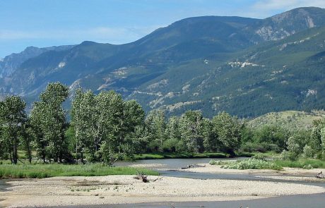 Gravel Bars on the Stillwater River during Late Summer