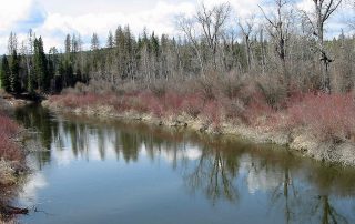 Stillwater River in Northwest Montana