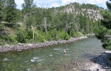 Fishing in the Stillwater River of Montana