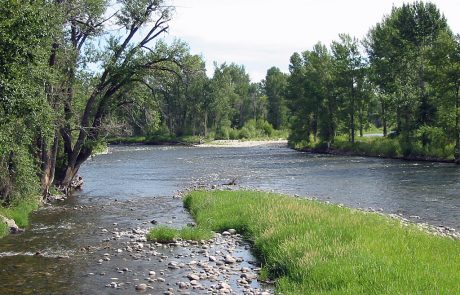 Lower Stillwater River