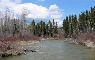 Stillwater River in Northwest Montana