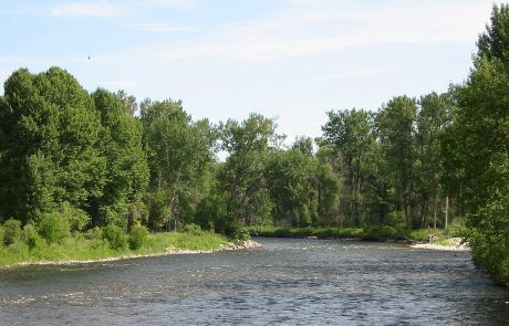Lower Stillwater River in Montana