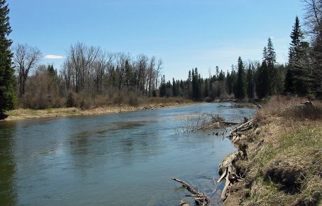 The Swan River in Northwest Montana