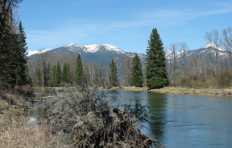 The Swan River in Northwest Montana