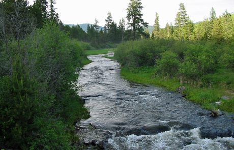 Thompson River in Northwest Montana