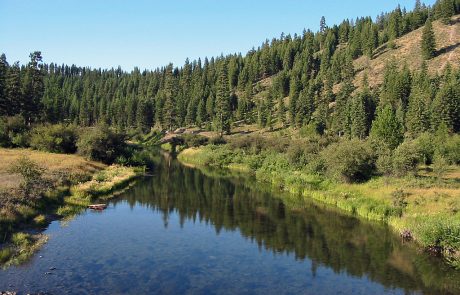 Thompson River in Northwest Montana