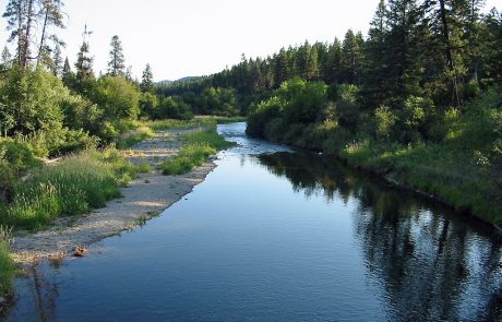 Thompson River in Northwest Montana