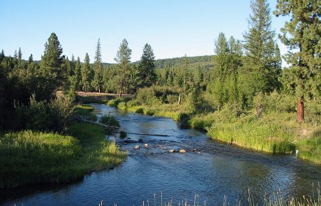 Thompson River in Northwest Montana