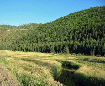 Thompson River in Northwest Montana