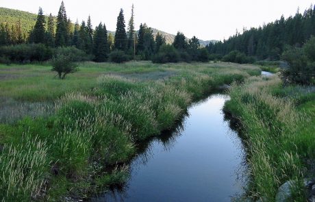 Thompson River in Northwest Montana