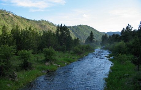 Thompson River in Northwest Montana