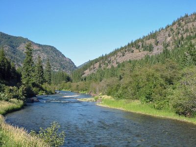 Thompson River in Northwest Montana