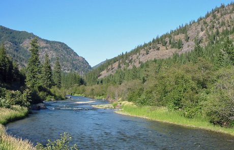 Thompson River in Northwest Montana