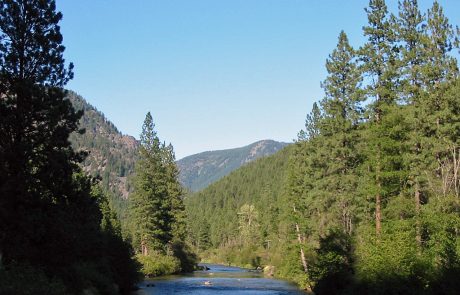 Thompson River in Northwest Montana