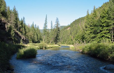 Thompson River in Northwest Montana