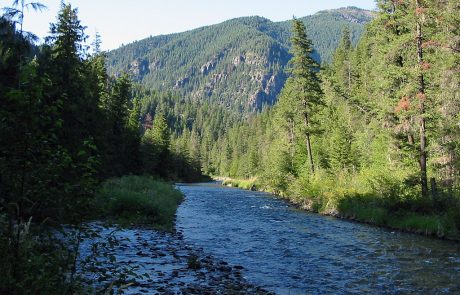 Thompson River in Northwest Montana