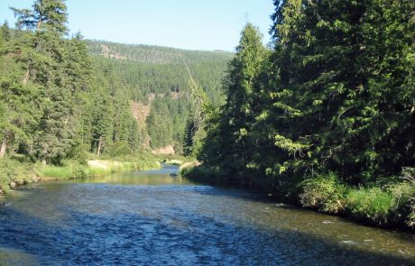 Thompson River in Northwest Montana