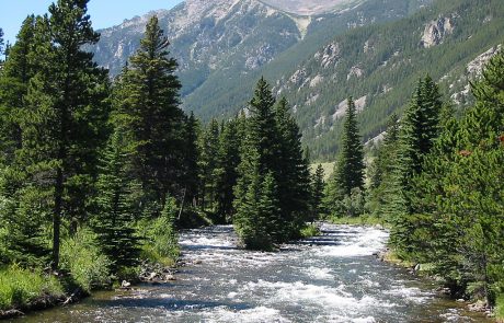 West Rosebud Creek in Montana