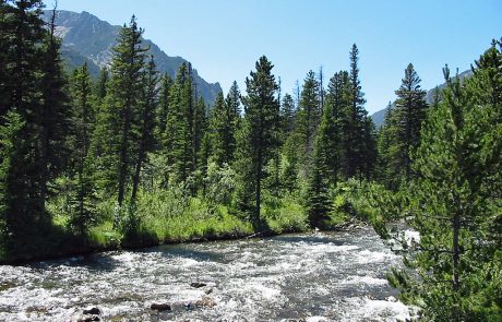 Whitewater on West Rosebud Creek in Montana