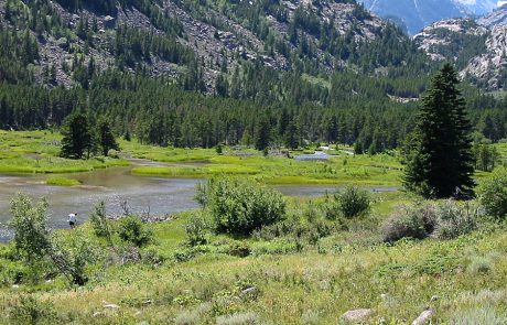 West Rosebud Creek in the Mountains of Montana