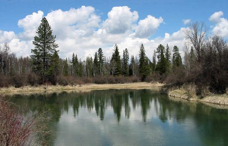 Whitefish River in Northwest Montana