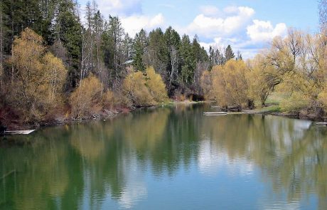 Whitefish River in Northwest Montana