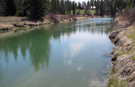 Whitefish River in Northwest Montana