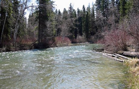 Whitefish River in Northwest Montana
