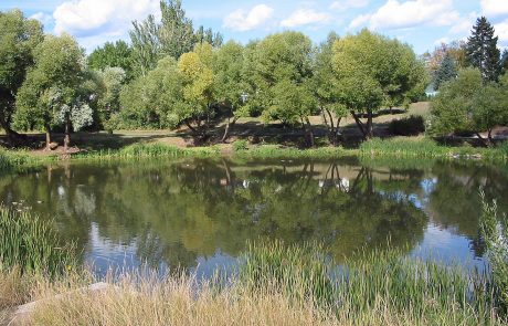 Whitefish River in Northwest Montana