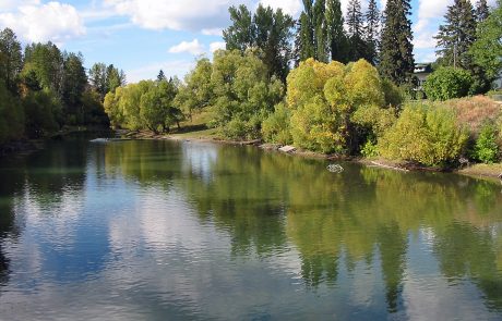 Whitefish River in Northwest Montana