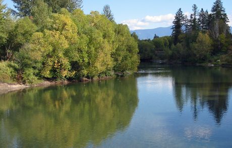 Whitefish River in Northwest Montana