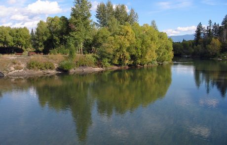 Whitefish River in Northwest Montana