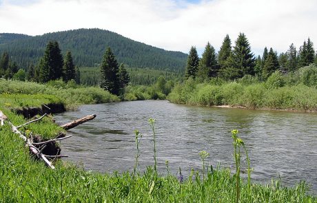 Yaak River in Northwest Montana