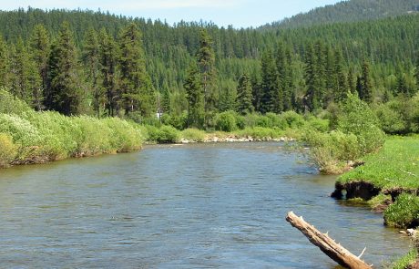 Yaak River in Northwest Montana