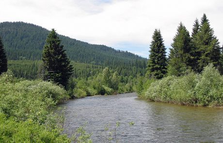 Yaak River in Northwest Montana