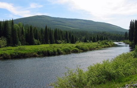 Yaak River in Northwest Montana