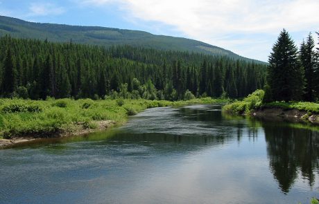 Yaak River in Northwest Montana