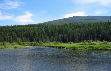 Yaak River in Northwest Montana