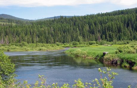 Yaak River in Northwest Montana