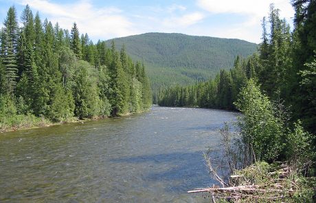 Yaak River in Northwest Montana