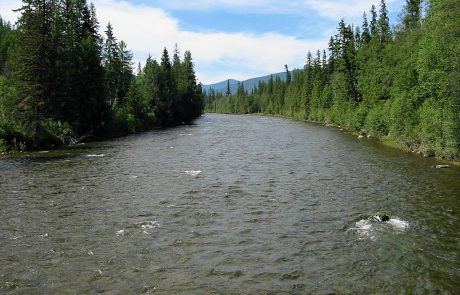 Yaak River in Northwest Montana