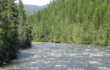 Yaak River in Northwest Montana